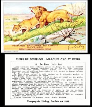 Liebig Animaux Savages du Congo