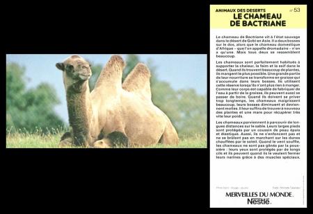 Nestle Merveilles du Monde