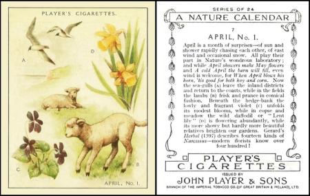 Player A Nature Calendar