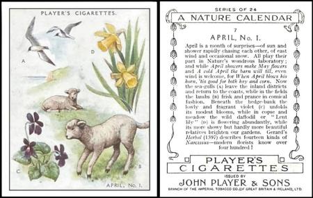 Player A Nature Calendar