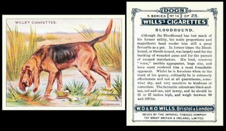 Wills Dogs 1914