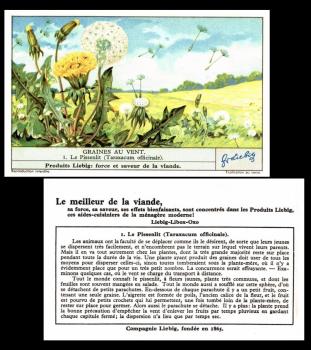 Liebig Graines auVent