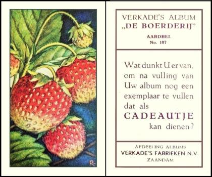 Verkade De Boerderij