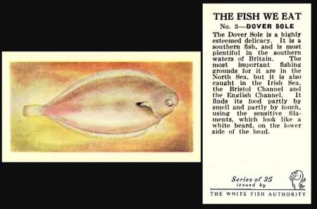 White Fish Authority The Fish We Eat
