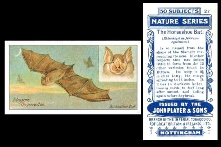 Player Nature Series