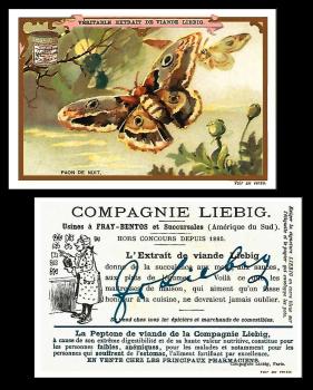 liebig Papillons 1897