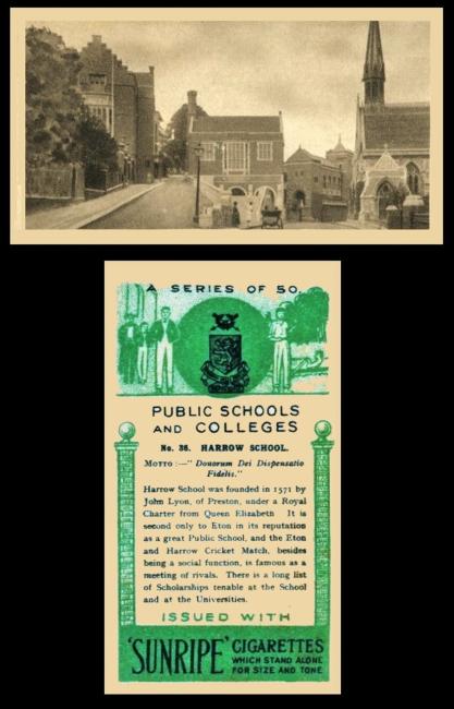 Hill Public Small