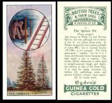 Ogdens "British Trees & Their Uses"